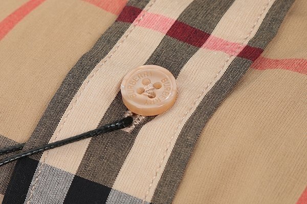 img_l(2291).jpg