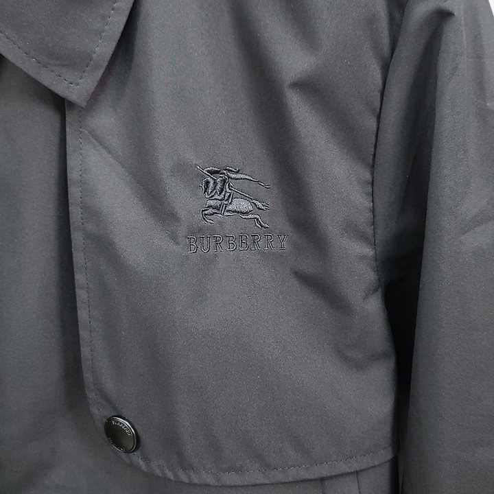 img_l(4195).jpg